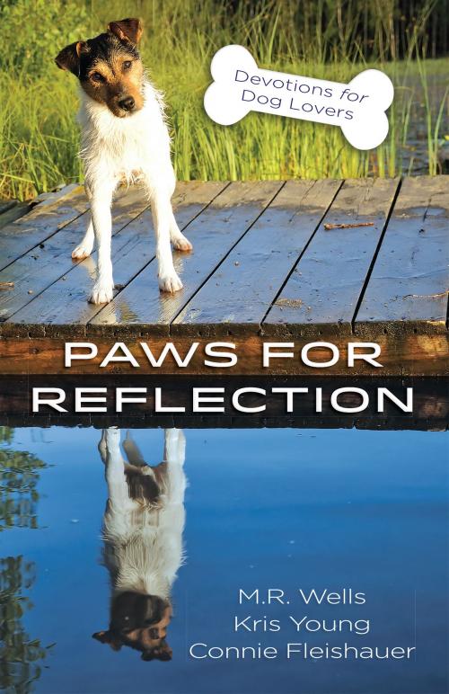 Cover of the book Paws for Reflection by M.R. Wells, Kris Young, Connie Fleishauer, Harvest House Publishers