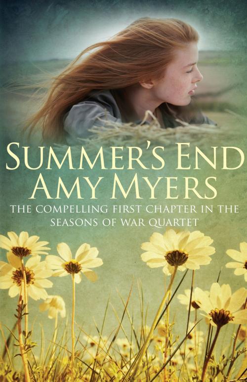 Cover of the book Summer's End by Amy Myers, Allison & Busby