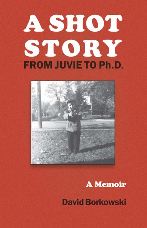 Cover of the book A Shot Story by David Borkowski, Fordham University Press