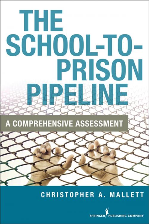 Cover of the book The School-to-Prison Pipeline by Christopher A. Mallett, Springer Publishing Company