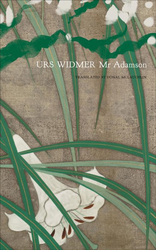 Cover of the book Mr Adamson by Urs Widmer, Seagull Books