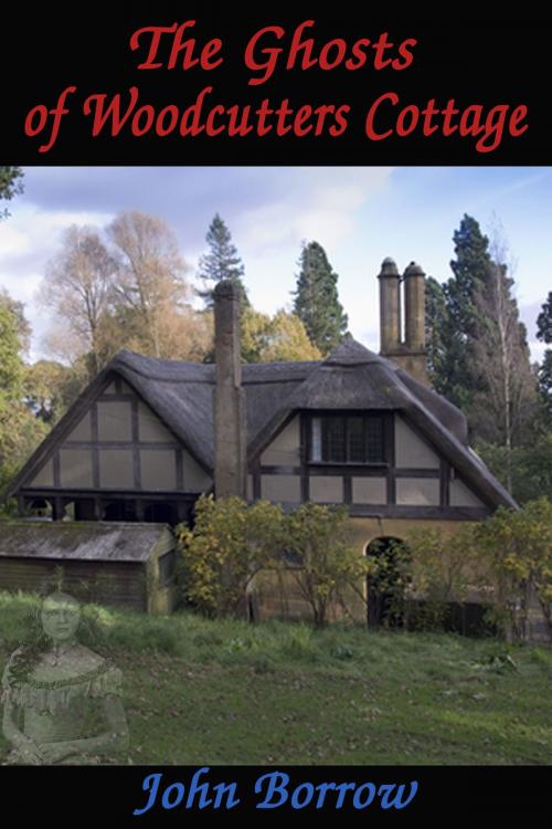 Cover of the book The Ghosts of Woodcutters Cottage by John Borrow, Strict Publishing International