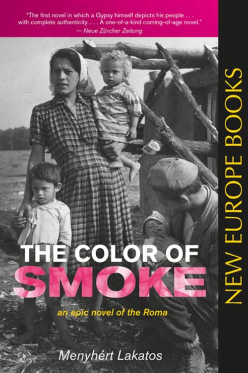 Cover of the book The Color of Smoke by Menyhert Lakatos, New Europe Books
