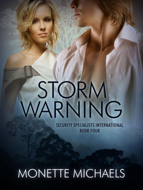 Cover of the book Storm Warning by Monette Michaels, Monette Draper