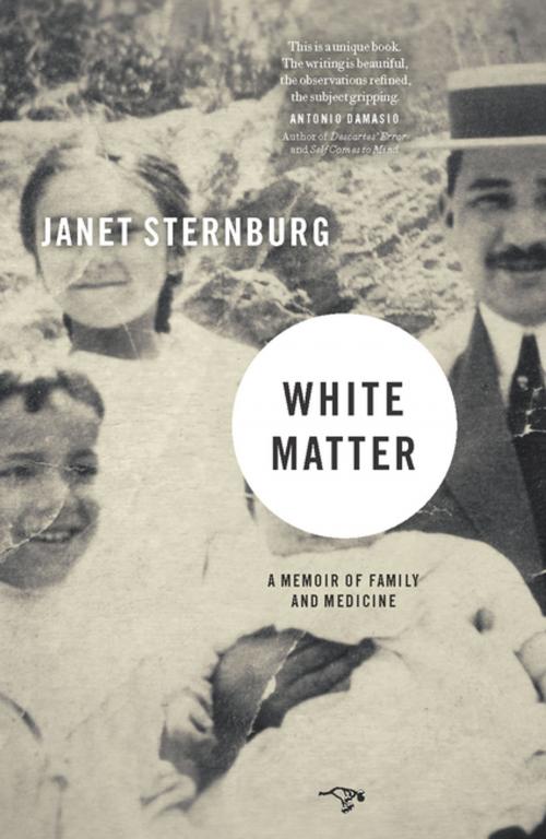 Cover of the book White Matter by Janet Sternburg, Hawthorne Books