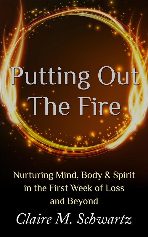 Cover of the book Putting Out the Fire by Claire M. Schwartz, Miriam's Well Healing LLC