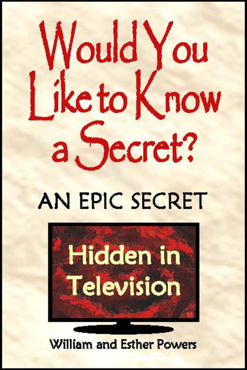 Cover of the book Would You Like to Know a Secret?: An Epic Secret Hidden in Television by William and Esther Powers, Luminous Cite