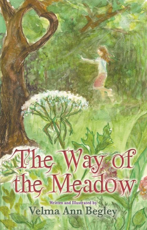 Cover of the book The Way of the Meadow by Velma Ann Begley, SDP Publishing