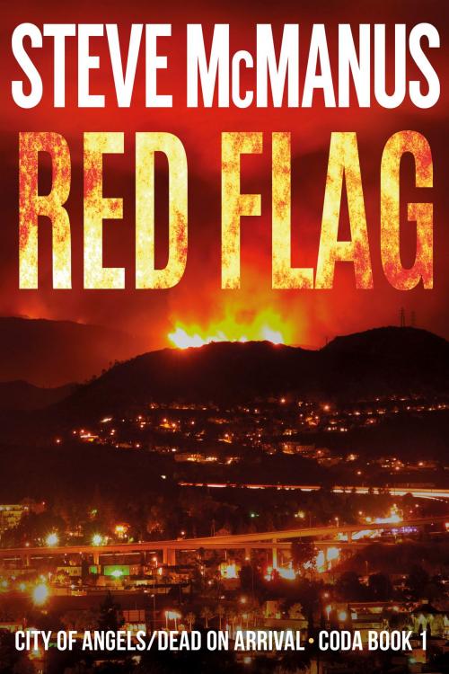 Cover of the book Red Flag by Steve McManus, Steve McManus