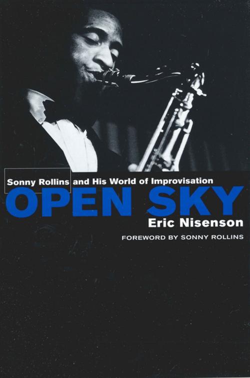 Cover of the book Open Sky by Eric Nisenson, St. Martin's Press