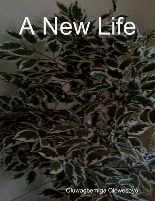 Cover of the book A New Life by Oluwagbemiga Olowosoyo, Lulu.com