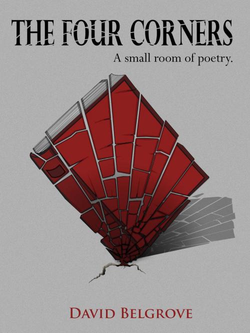 Cover of the book The Four Corners (a small room of poetry) by David Belgrove, David Belgrove