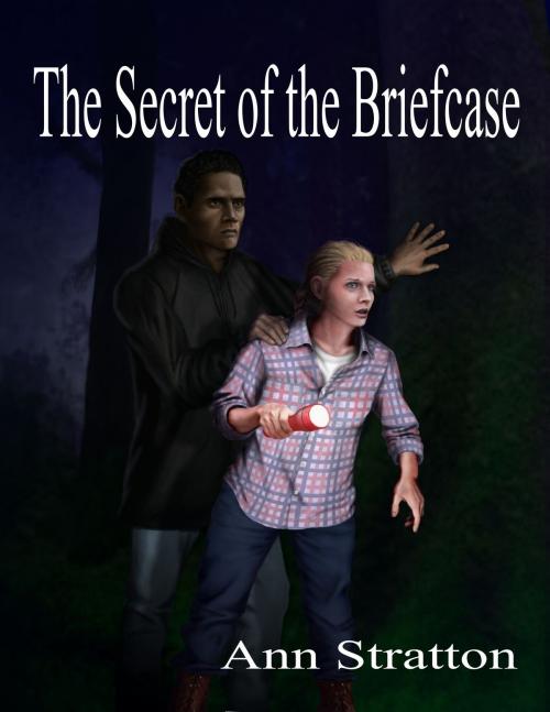 Cover of the book The Secret of the Briefcase by Ann Stratton, Ann Stratton