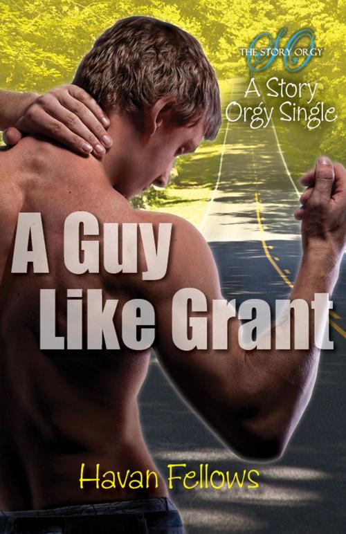 Cover of the book A Guy Like Grant by Havan Fellows, Havan Fellows