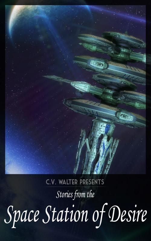 Cover of the book Stories From The Space Station of Desire by C.V. Walter, Aphrodite's Pearl