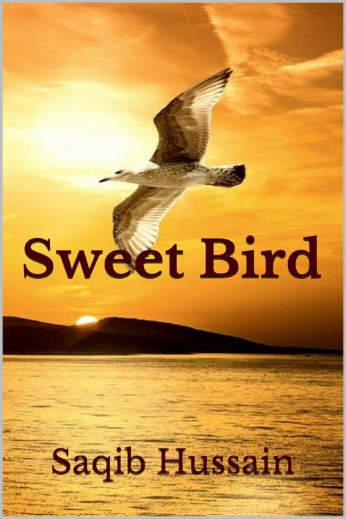 Cover of the book Sweet Bird by Saqib Hussain, Saqib Hussain