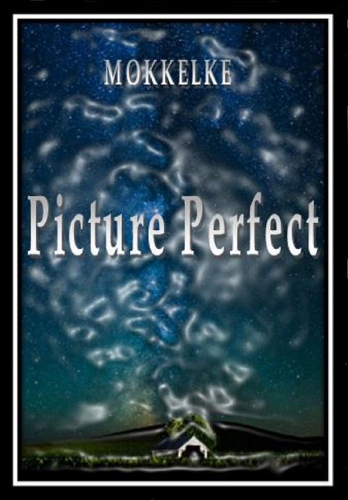Cover of the book Picture Perfect by Mokkelke, Mokkelke