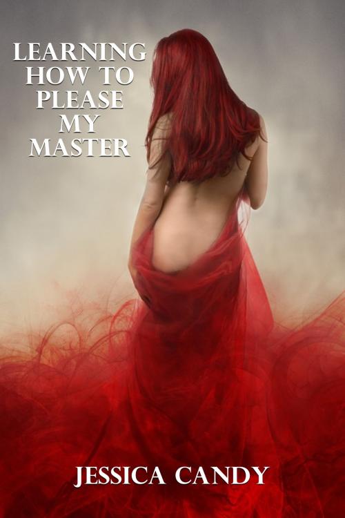 Cover of the book Learning How To Please My Master by Jessica Candy, Susan Hart