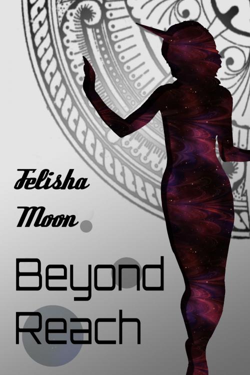 Cover of the book Beyond Reach by Felisha Moon, Felisha Moon