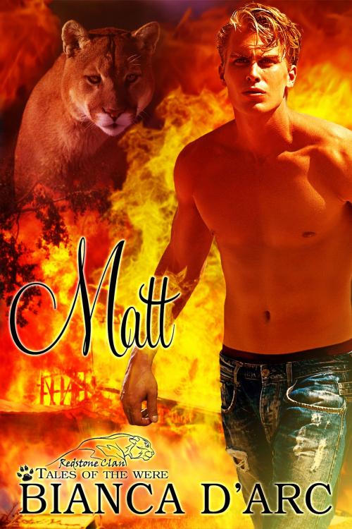Cover of the book Matt by Bianca D'Arc, Hawk Publishing