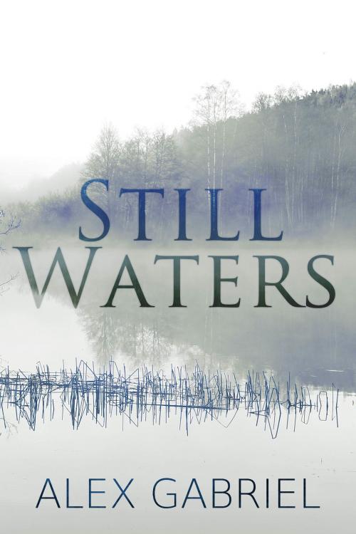 Cover of the book Still Waters by Alex Gabriel, Alex Gabriel