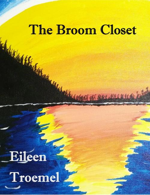 Cover of the book The Broom Closet by Eileen Troemel, Eileen Troemel