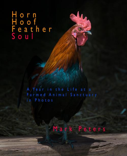 Cover of the book Horn Hoof Feather Soul: A Year in the Life at a Farmed Animal Sanctuary in Photos by Mark Peters, Mark Peters