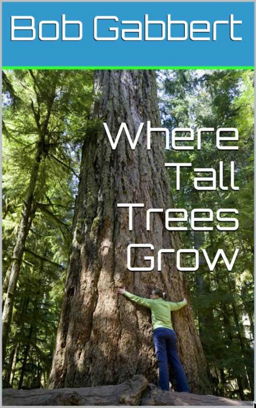 Cover of the book Where Tall Trees Grow by Bob Gabbert, Bob Gabbert