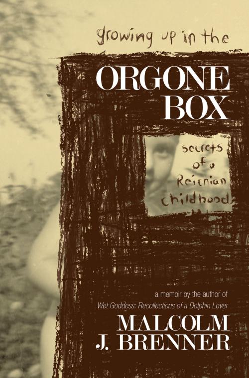 Cover of the book Growing Up In The Orgone Box: Secrets of a Reichian Childhood by Malcolm J. Brenner, Malcolm J. Brenner