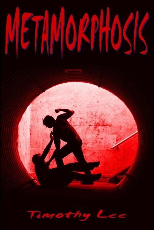 Cover of the book Metamorphosis by Timothy Lee, Timothy Lee