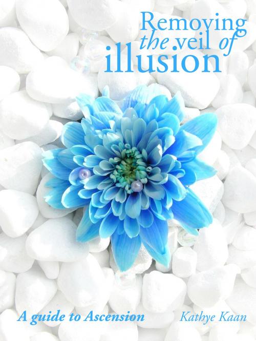 Cover of the book Removing The Veil Of Illusion: A Guide To Ascension by Kathye Kaan, Kathye Kaan