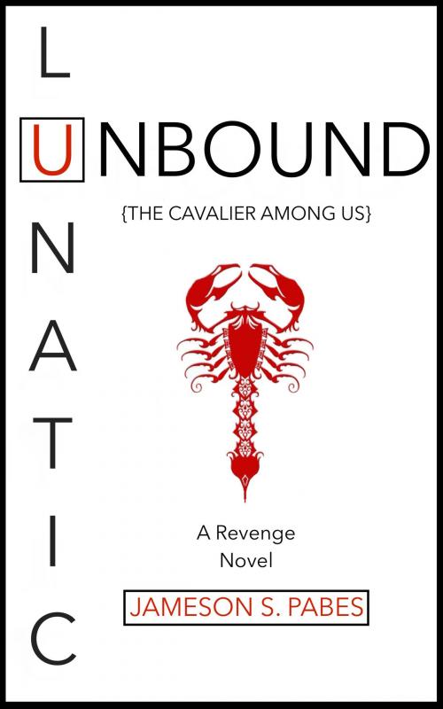 Cover of the book Lunatic Unbound by Jameson S. Pabes, Jameson S. Pabes