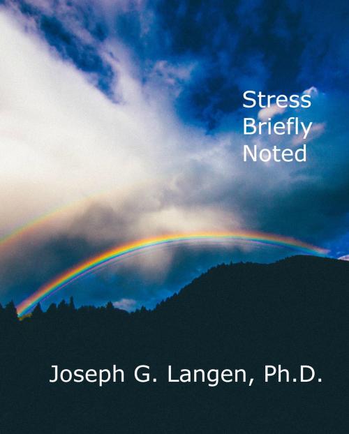 Cover of the book Stress Briefly Noted by Joseph Langen, Joseph Langen
