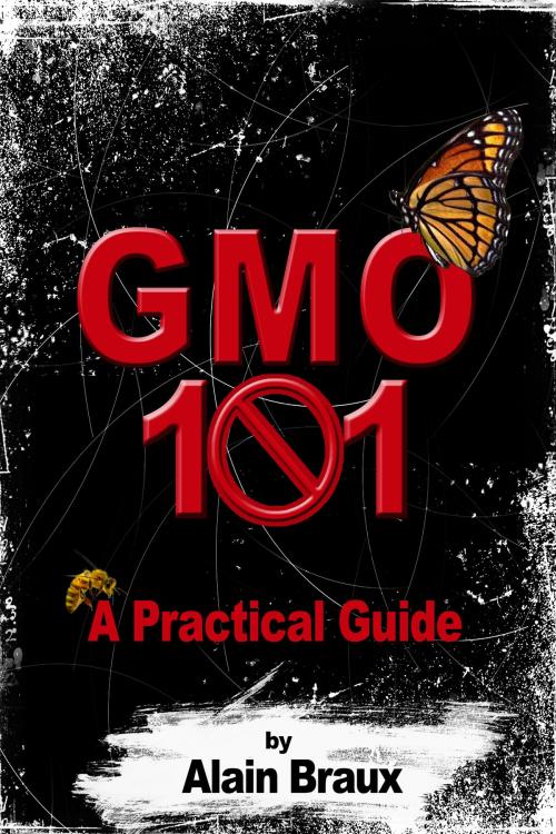 Cover of the book GMO 101: A practical guide by Alain Braux, Alain Braux