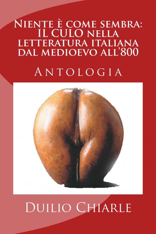 Cover of the book Niente è come sembra: il culo nella letteratura italiana dal medioevo all'800 by Duilio Chiarle, Duilio Chiarle