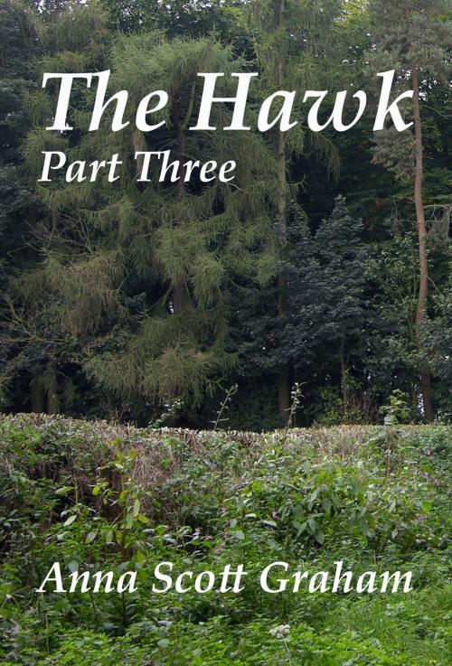 Cover of the book The Hawk: Part Three by Anna Scott Graham, Anna Scott Graham