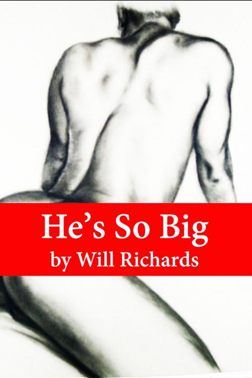 Cover of the book He's So Big by Rod Steele, FHQ Books