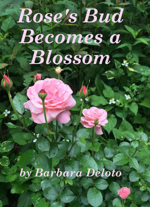Cover of the book Rose's Bud Becomes a Blossom by Barbara Deloto, Barbara Deloto