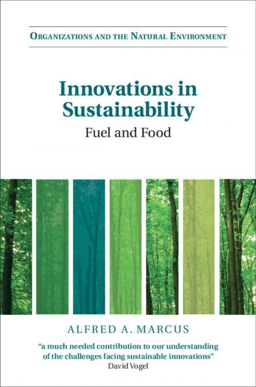Cover of the book Innovations in Sustainability by Alfred A. Marcus, Cambridge University Press