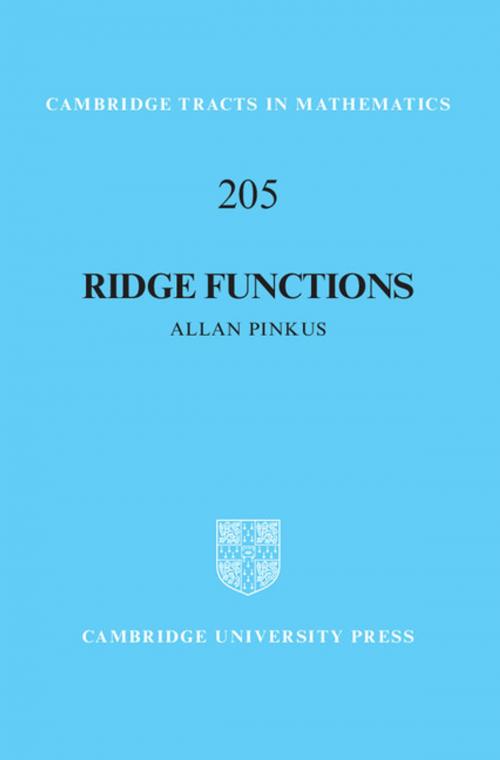 Cover of the book Ridge Functions by Allan Pinkus, Cambridge University Press