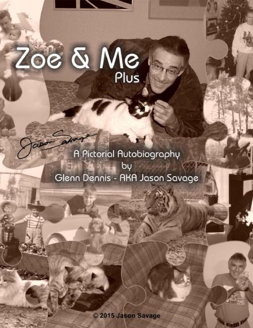 Cover of the book Zoe & Me Plus by Jason Savage, Lulu.com