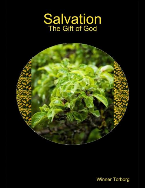 Cover of the book Salvation: The Gift of God by Winner Torborg, Lulu.com