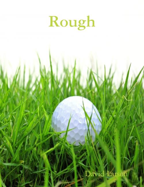 Cover of the book Rough by David Larson, Lulu.com