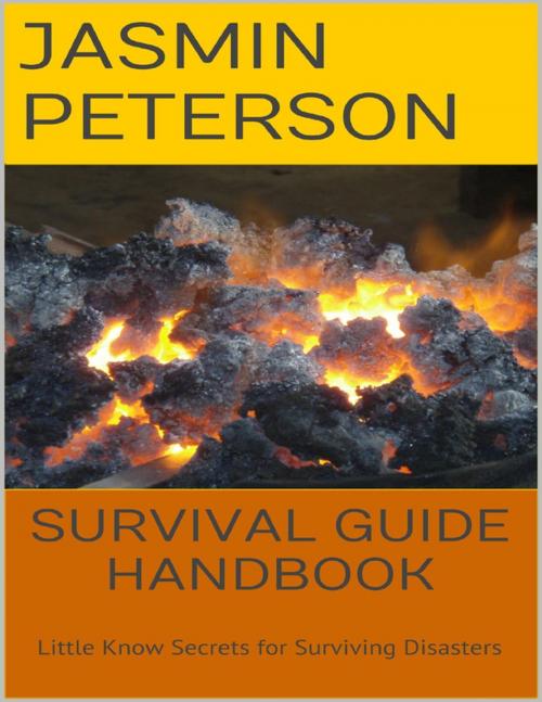 Cover of the book Survival Guide Handbook: Little Know Secrets for Surviving Disasters by Jasmin Peterson, Lulu.com