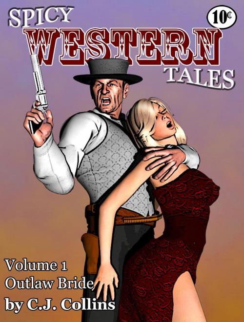 Cover of the book Outlaw Bride by C.J. Collins, Fast Gun Press