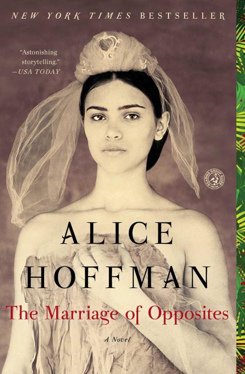 Cover of the book The Marriage of Opposites by Alice Hoffman, Simon & Schuster