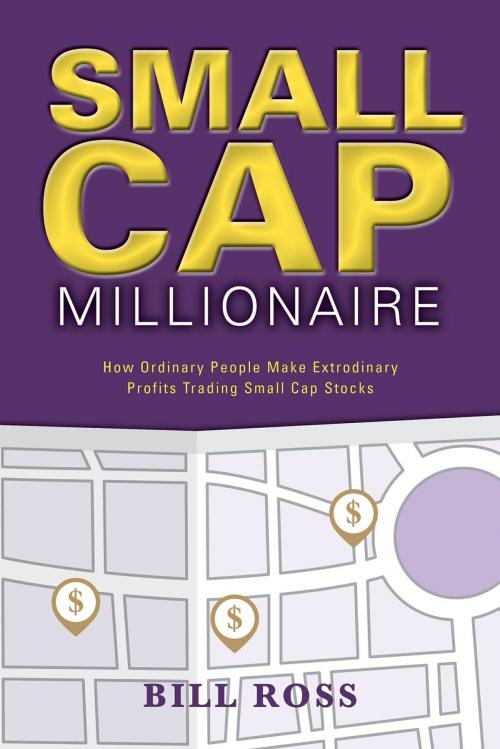 Cover of the book Small Cap Millionaire by Bill Ross, FriesenPress