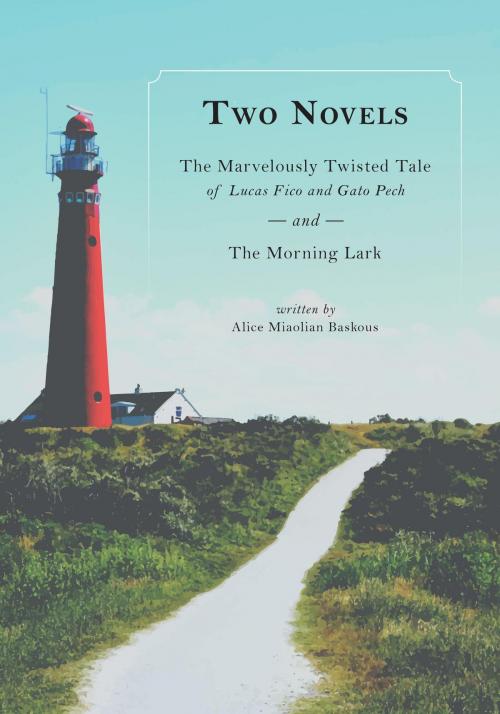 Cover of the book Two Novels by Alice Miaolian Baskous, FriesenPress