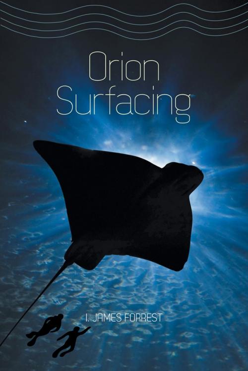Cover of the book Orion Surfacing by I.James Forrest, FriesenPress