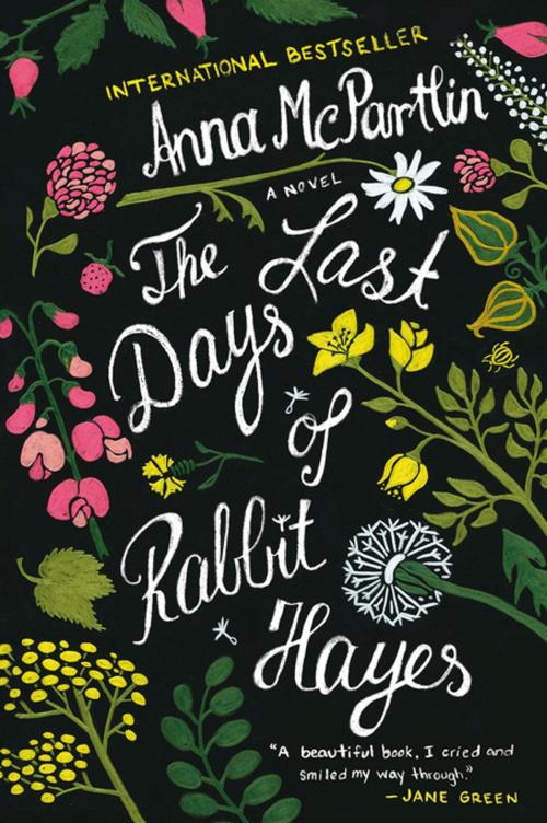 Cover of the book The Last Days of Rabbit Hayes by Anna McPartlin, St. Martin's Press